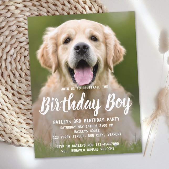 Papier Budget Chien Chien Chien Chien Anniversaire Fête A (Créateur téléchargé)