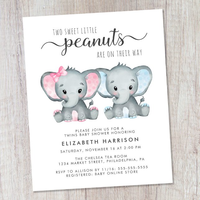 Papier Budget Elephant Twin Boy Girl Baby shower Invitati (Créateur téléchargé)