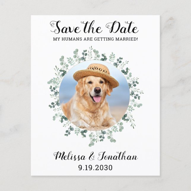Papier Budget Eucalyptus Animal Mariage Chien Enregistrer (Devant)