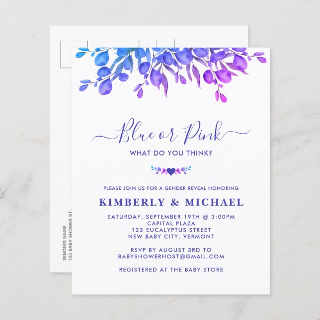 Papier Budget Eucalyptus Baby Genre Révéler bleu rose (Devant / Derrière)