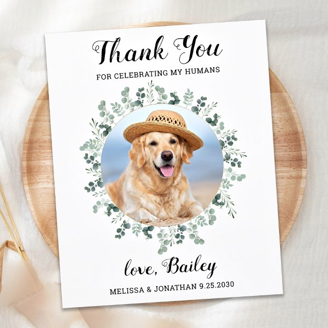 Papier Budget Eucalyptus Pet Photo Chien Mariage de Merci (Créateur téléchargé)