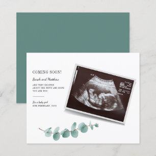 Papier Budget Eucalyptus Verdure Grossesse bébé Révélatio