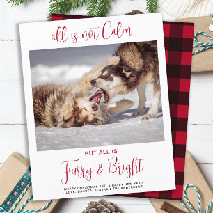 Papier Budget Funny Animal Furry & Bright Photo Noël