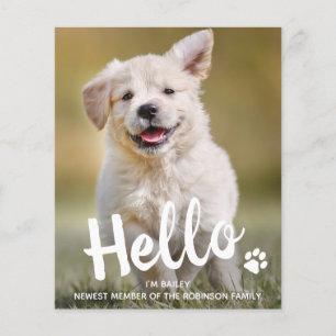 Papier Budget Hello New Pet Photo Chien Chien Faire-part