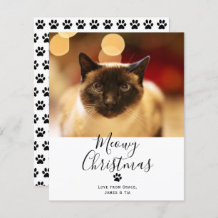 Papier BUDGET Meowy Noël Animaux de compagnie Cat Christm