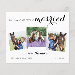 Papier Budget Modern 3 Photo Horse Enregistrer La Date In