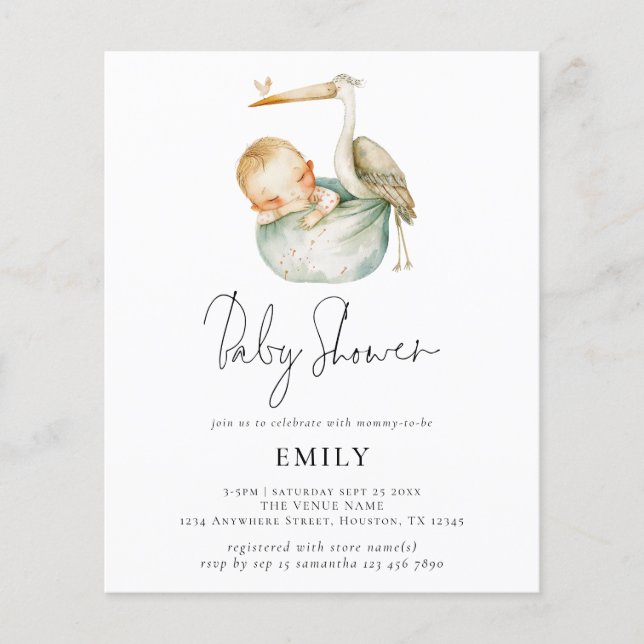 Papier Budget moderne Script mignon Stork et Baby shower (Devant)
