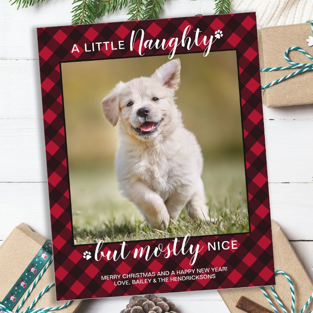 Papier Budget Naughty Nice Animal Photo Red Plaid Holiday (Créateur téléchargé)