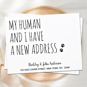Papier Budget Nouvelle adresse Nous avons déplacé Pet Mov