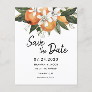 Papier Budget Orange Citrus Verdure Enregistrer Les Dates