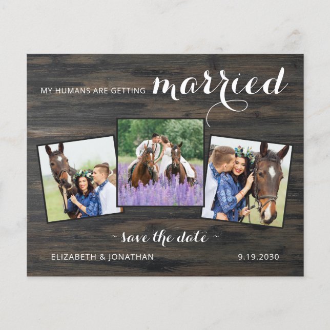 Papier Budget Pays 3 Photo Cheval Mariage Enregistrer La  (Devant)
