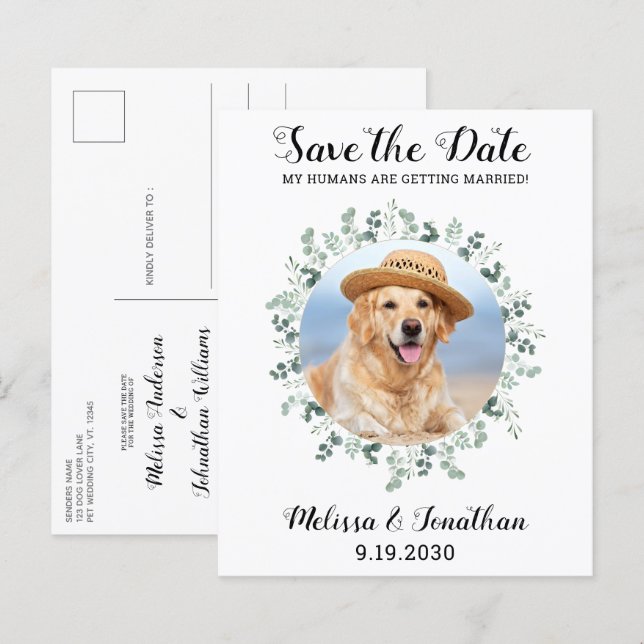 Papier Budget Pet Chien Mariage Eucalyptus Enregistrer La (Devant / Derrière)