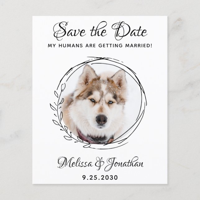 Papier Budget Pet Mariage Foliage Chien Enregistrer Les C (Devant)