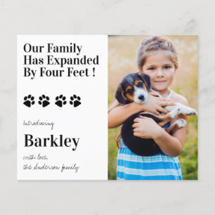 Papier Budget Photo Chien Chien Chien Chien Nouveau Anima