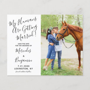 Papier Budget Photo Moderne Mariage Equin Enregistrer La 