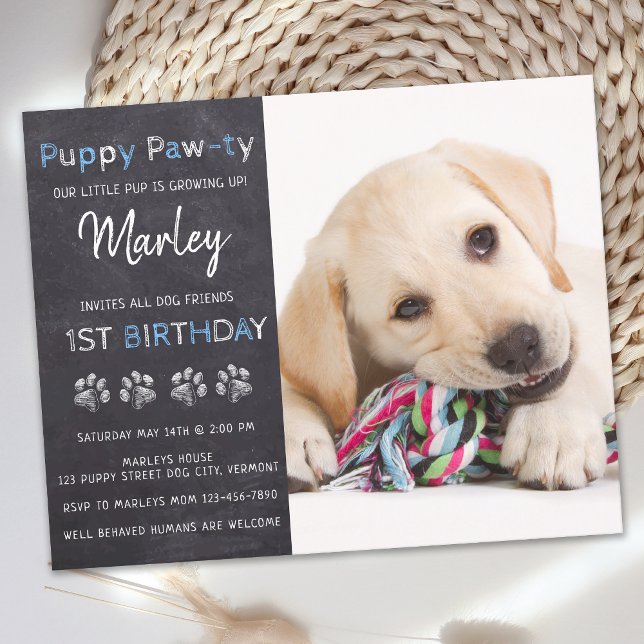 Papier Budget Puppy Pawty Chalkboard Blue Dog Anniversair (Créateur téléchargé)