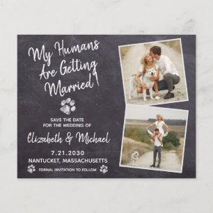 Papier Budget Rustic Chien Mariage Enregistrer La Date Ca
