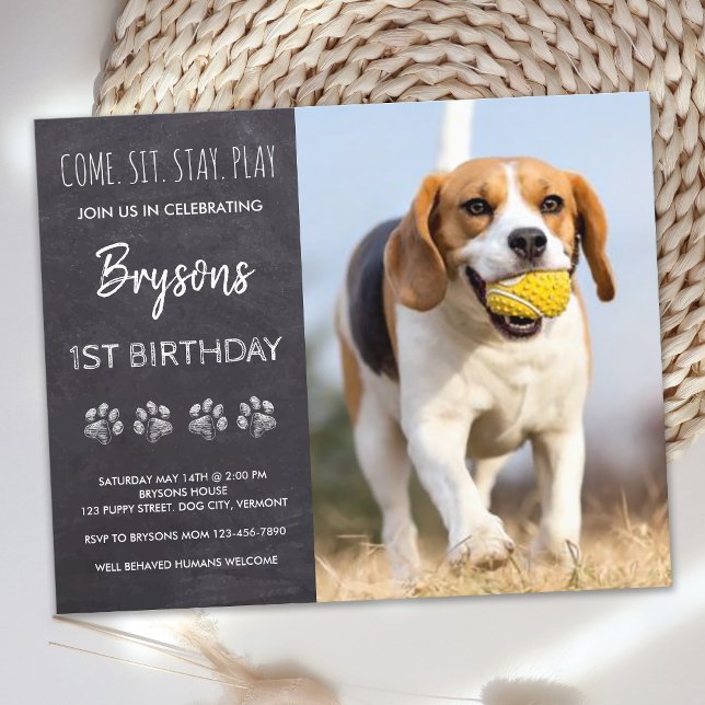 Papier Budget S'Asseoir Rester Chalkboard Chien Chien Chi (Créateur téléchargé)