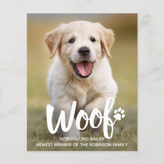 Papier Budget Woo Photo Chien Chien Chien Nouveau Faire-p (Devant)
