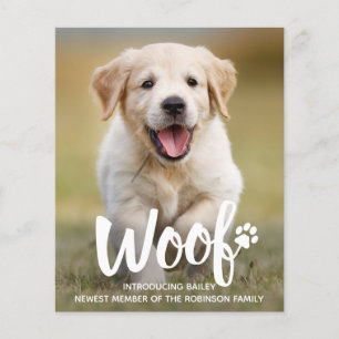 Papier Budget Woo Photo Chien Chien Chien Nouveau Faire-p