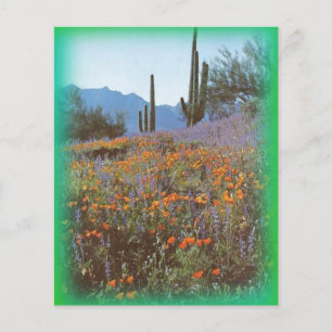 Papier Cactus vintage stationnaire