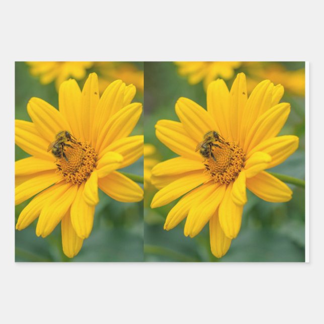 Papier cadeau (Devant)