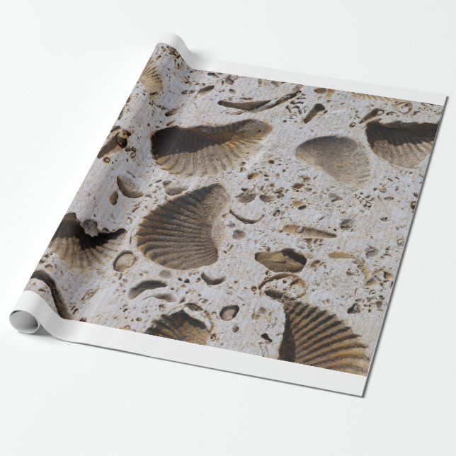 Papier cadeau (Déroulé)