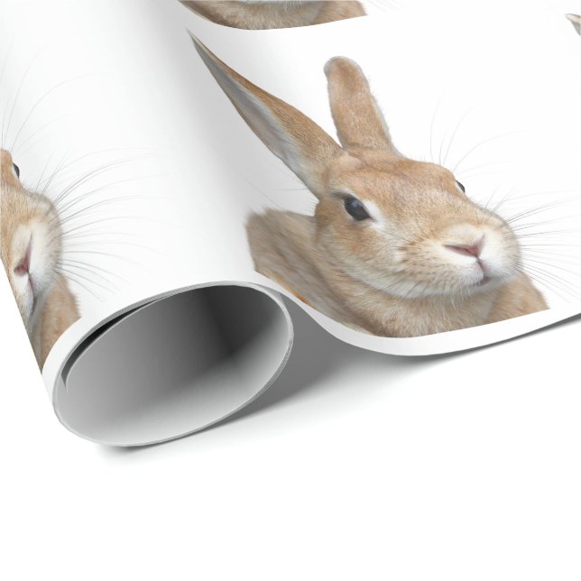 PAPIER CADEAU ウサギ (Coin rond)