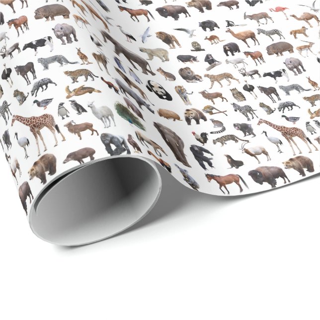 PAPIER CADEAU 動物たち (Coin rond)