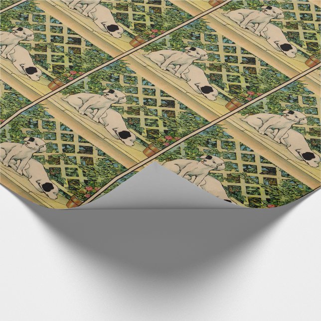 Papier Cadeau 1914 deux chiens curieux (Coin)