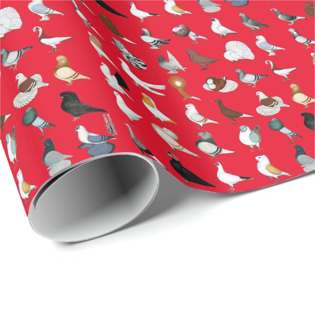 Papier Cadeau 36 races de pigeon (Coin rond)