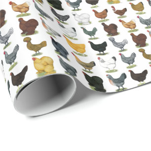 Papier Cadeau 49 poules de poulet