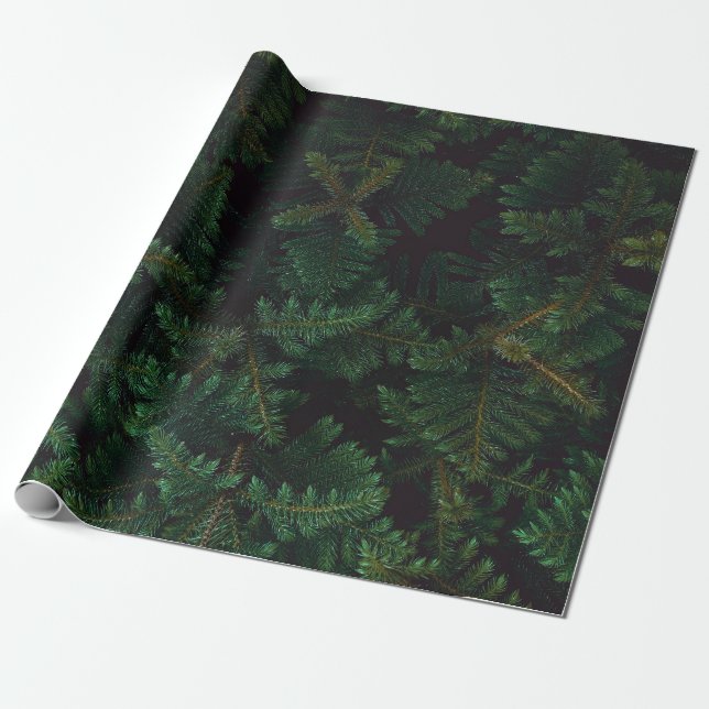 Papier Cadeau À feuillage persistant (Déroulé)