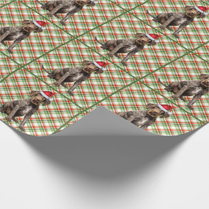 Papier Cadeau À poils durs Pointer Chien vacances Jeu de Noël