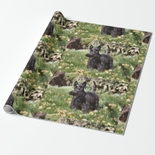 Papier Cadeau Ach !