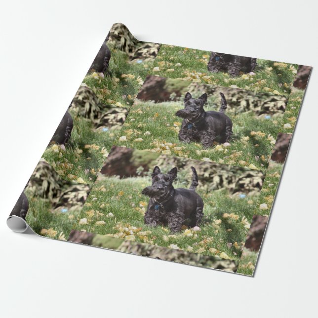Papier Cadeau Ach ! (Déroulé)