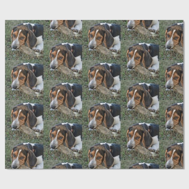 Papier Cadeau Adorable  Beagle Chewing A Bone (Plat)