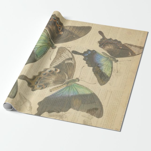 Papier Cadeau Affiches françaises de Decoupage de dictionnaire (Déroulé)