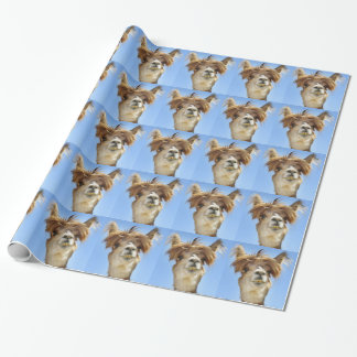 Papier Cadeau Alpaga avec les cheveux fous