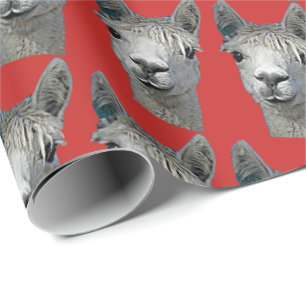 Papier Cadeau Alpaga sur le papier rouge