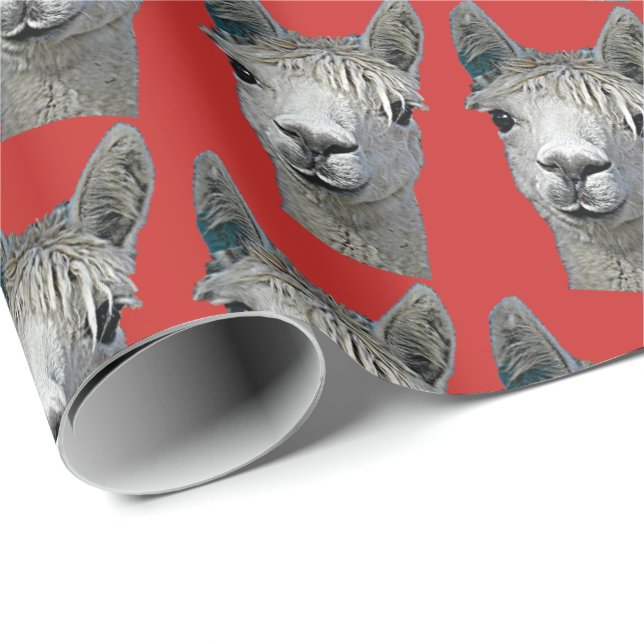 Papier Cadeau Alpaga sur le papier rouge (Coin rond)