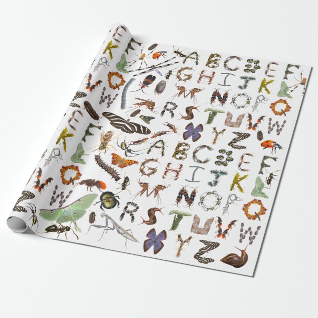 Papier Cadeau Alphabet des insectes et des bogues - Crawlies Dép (Déroulé)