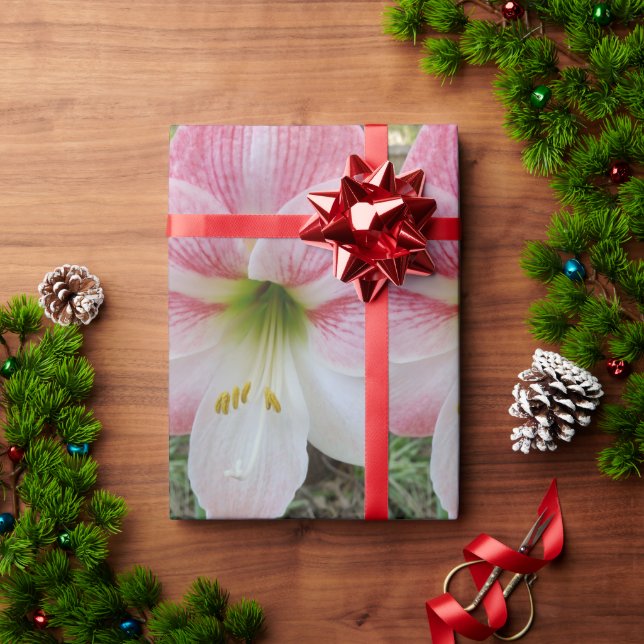 Papier cadeau amarylis rose (Cadeau de vacances)