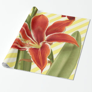 Papier Cadeau Amaryllis vintage