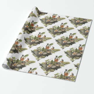 Papier Cadeau American Robin par Audubon