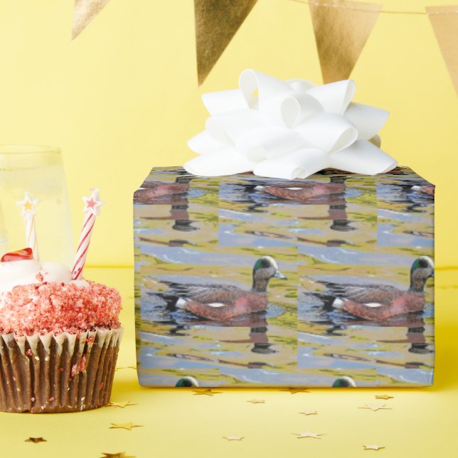 Papier Cadeau American Wigeon (Fête d'anniversaire)