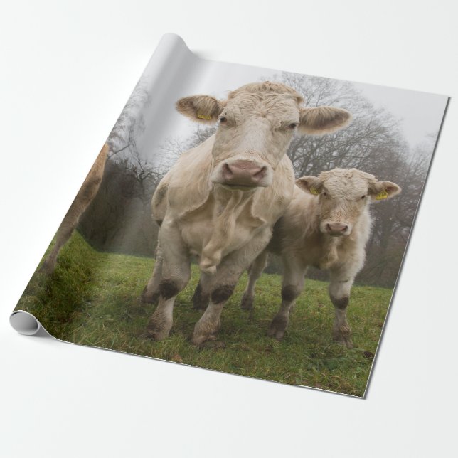 Papier Cadeau Amusant troupeau de vaches dans le pâturage (Déroulé)