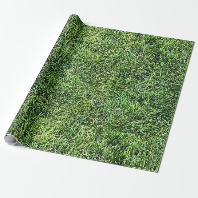Papier Cadeau Amusante herbe verte vraie texture photo motif pla (Déroulé)
