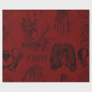 Papier Cadeau Anatomie des crémson et des squelettes noirs