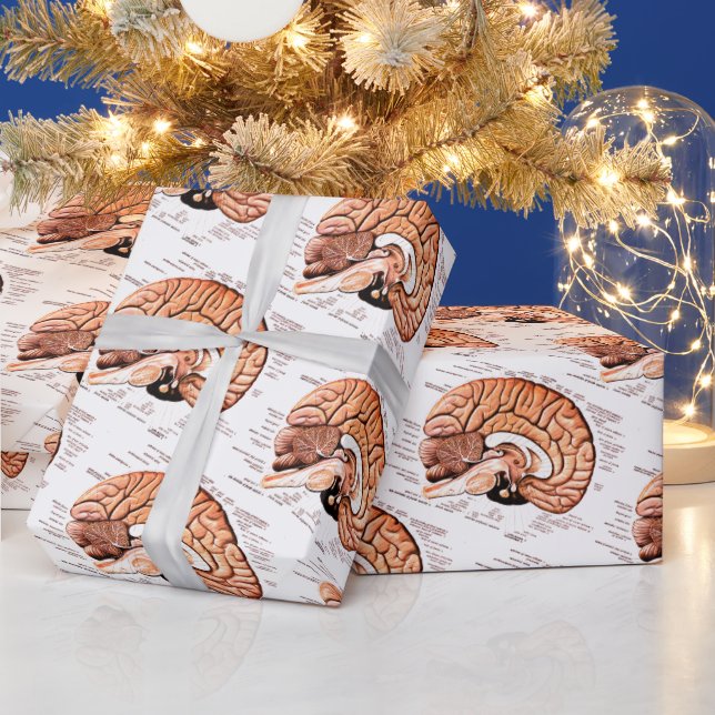 Papier Cadeau Anatomie du cerveau humain Diagramme Médicale Nouv (Vacances)